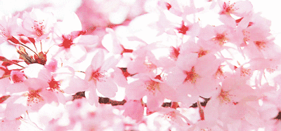 t010372ba61ac444f0e.gif